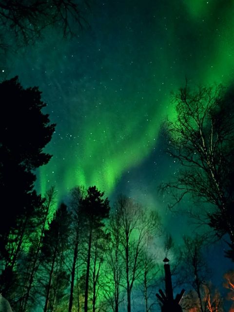 Rovaniemi Hunting Aurora at the Best Spots - Booking details that matter