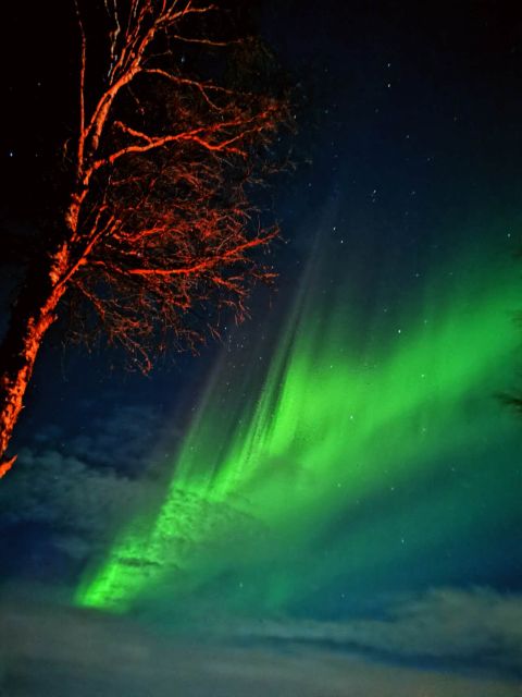 Rovaniemi Hunting Aurora at the Best Spots - The 20:00 to 23:30 plan
