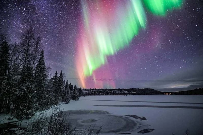 Rovaniemi: Ice Floating in Forest Lake with Aurora Borealis - Who will enjoy this most?
