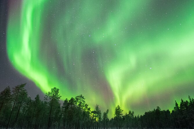 Rovaniemi Insider: Northern lights trip for families - Leaving Rovaniemi for a darker sky