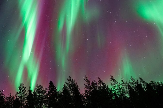 Rovaniemi Insider: Northern lights trip for families - How the family activities change the evening