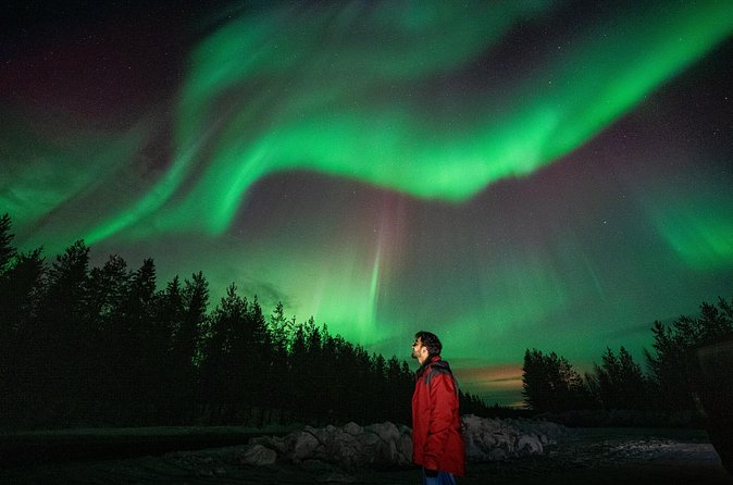 Rovaniemi Insider: Northern lights trip for families - Is $143.92 a fair price?