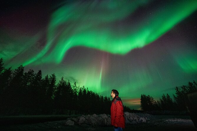 Rovaniemi Insider: Northern lights trip for families - Who will enjoy this Rovaniemi evening most?