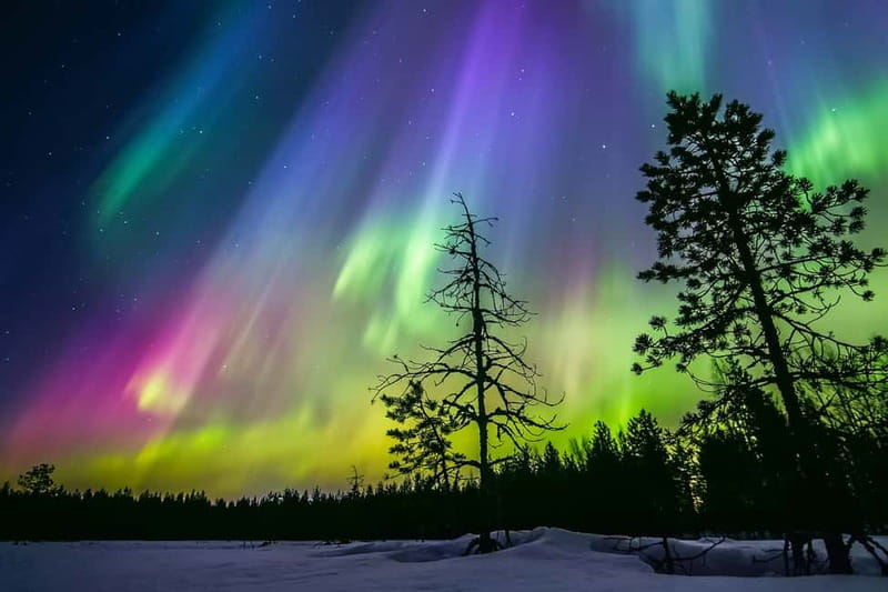 Rovaniemi: Lakeside Private Sauna with Aurora Borealis - Key things to know before booking