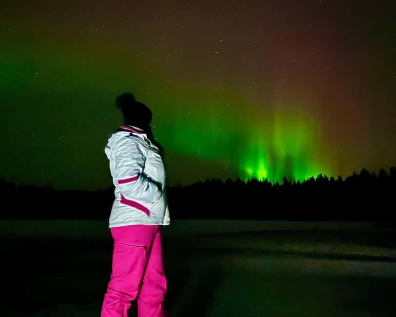 Rovaniemi: Night Tour in Search of the Aurora with BBQ - Pickup from Rovaniemi at 19:30