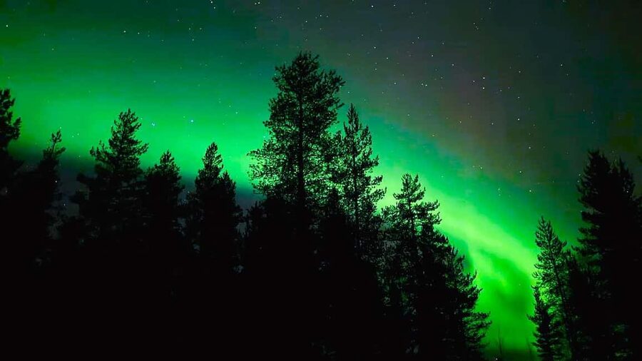 Rovaniemi: Night Tour in Search of the Aurora with BBQ - Stops three and four: farther from the city lights