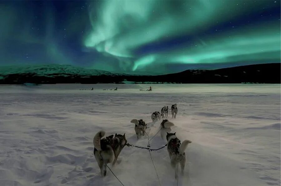 Rovaniemi: Northern Lights and Husky Sleigh Ride - Key points to know before booking