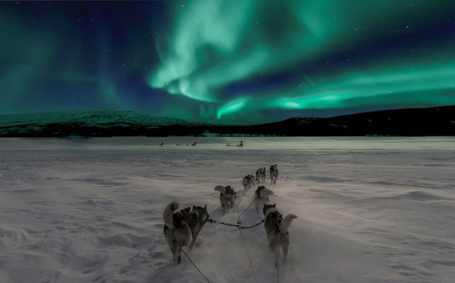 Rovaniemi: Northern Lights and Husky Sleigh Ride - Starting the evening near Rovaniemi
