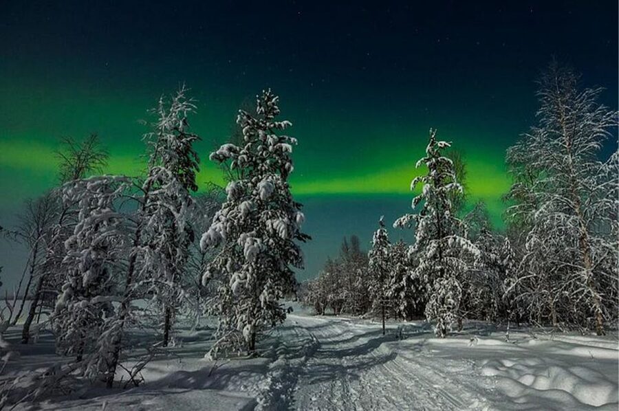 Rovaniemi: Northern Lights and Husky Sleigh Ride - The 5-kilometer ride across snow and ice