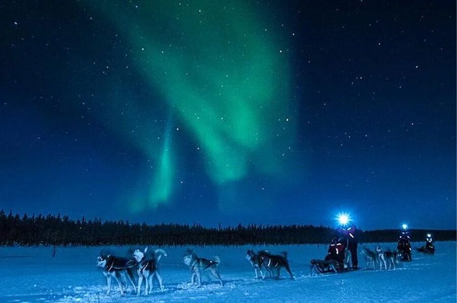 Rovaniemi: Northern Lights and Husky Sleigh Ride - Searching for the Northern Lights by car