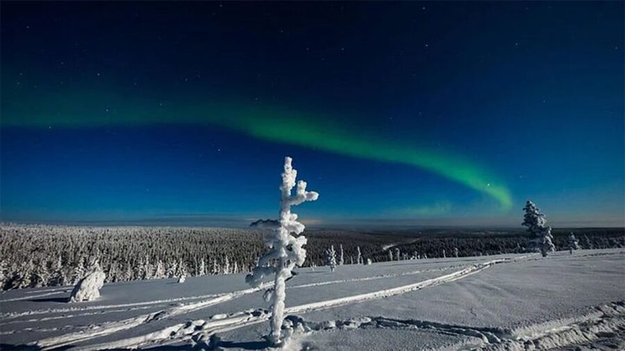 Rovaniemi: Northern Lights and Husky Sleigh Ride - Warm drinks, guide quality, and the human touch