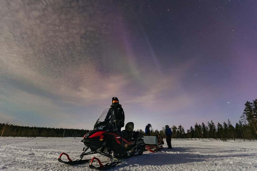 Rovaniemi: Northern Lights Family-Friendly Snowmobile Safari - Quick points to know before booking