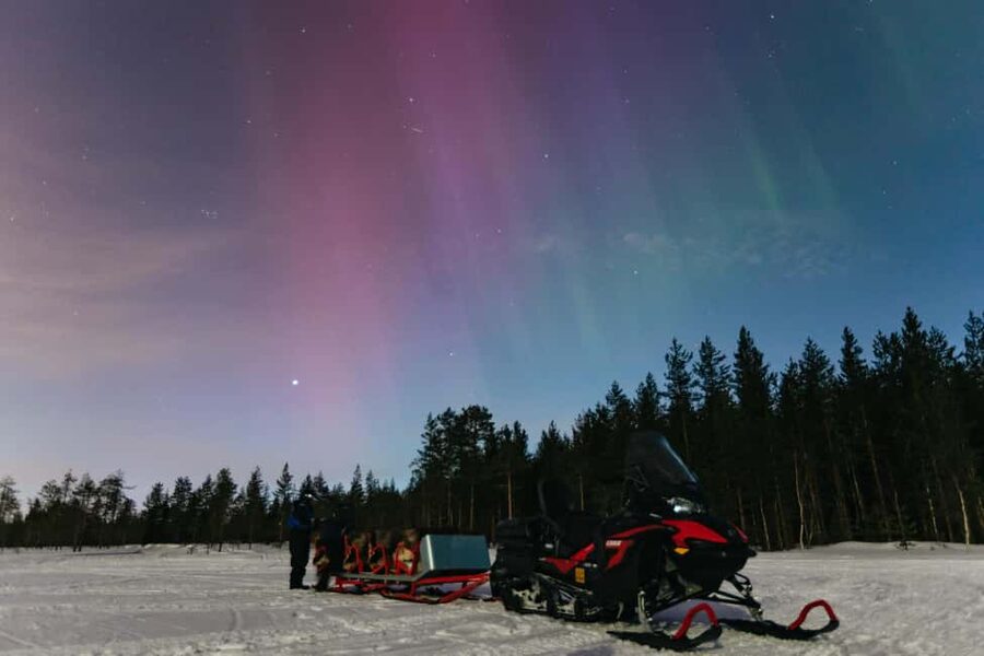 Rovaniemi: Northern Lights Family-Friendly Snowmobile Safari - Why this safari works well for families