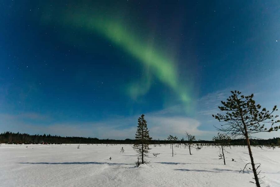 Rovaniemi: Northern Lights Family-Friendly Snowmobile Safari - Sharing the snowmobile and learning the controls