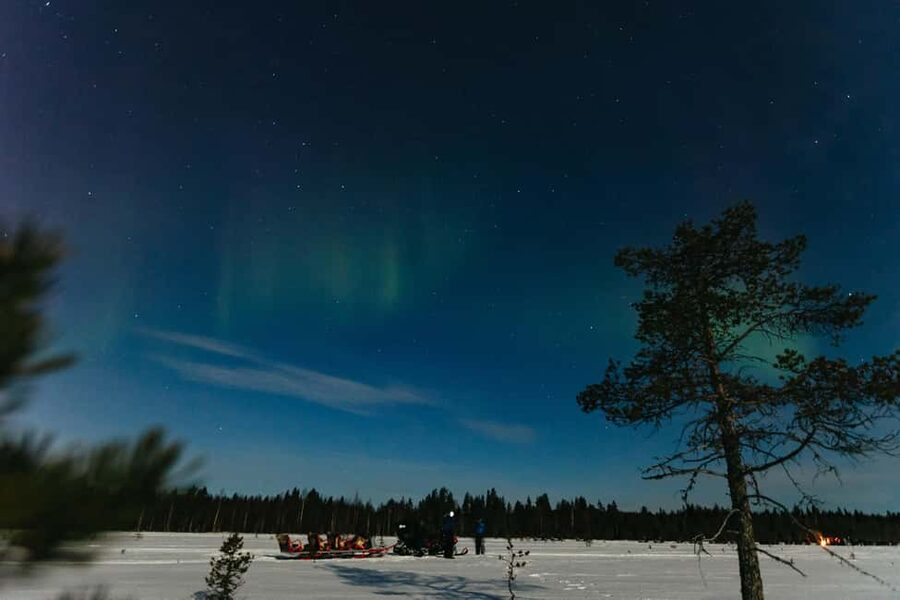 Rovaniemi: Northern Lights Family-Friendly Snowmobile Safari - The forest route and its quiet winter scenery