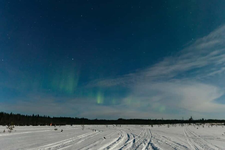 Rovaniemi: Northern Lights Family-Friendly Snowmobile Safari - Searching for the Northern Lights