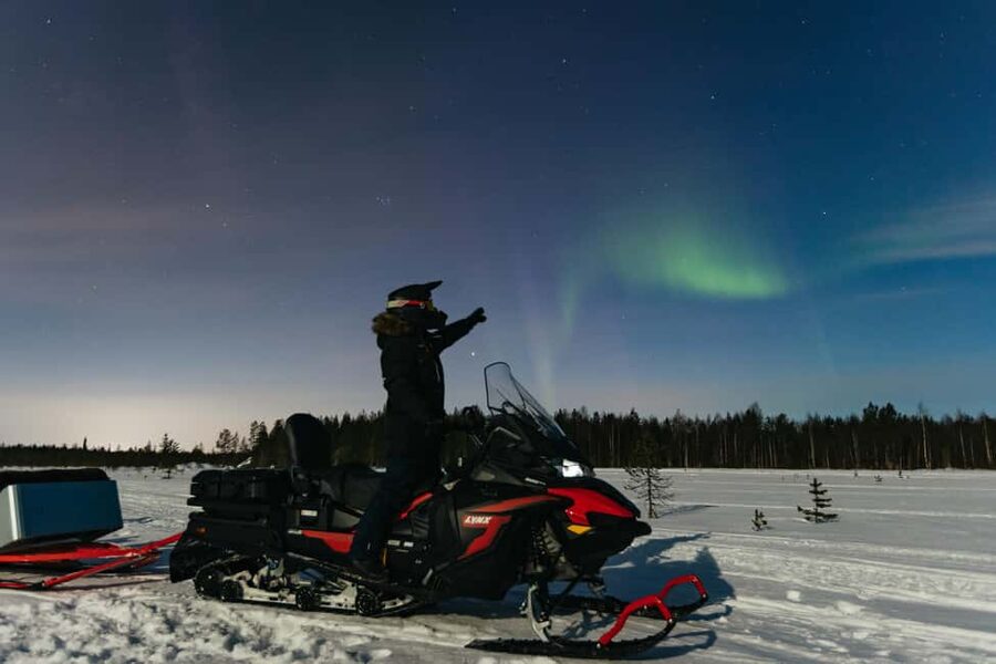 Rovaniemi: Northern Lights Family-Friendly Snowmobile Safari - Who should book this Rovaniemi excursion?
