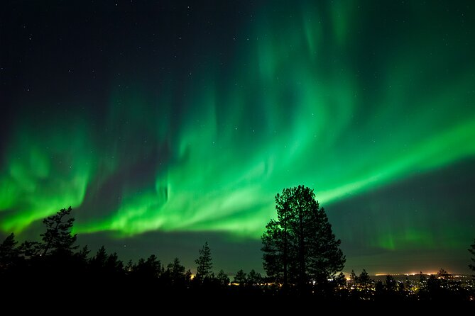 Rovaniemi: Northern Lights Group Tour - Guaranteed View - Campfires, hot juice, and staying warm