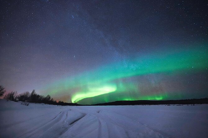 Rovaniemi: Northern Lights Group Tour - Guaranteed View - What the $129.52 price really buys