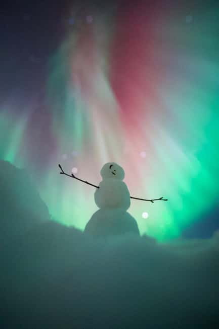 Rovaniemi: Northern Lights Group Tour with Guaranteed View - Key points at a glance