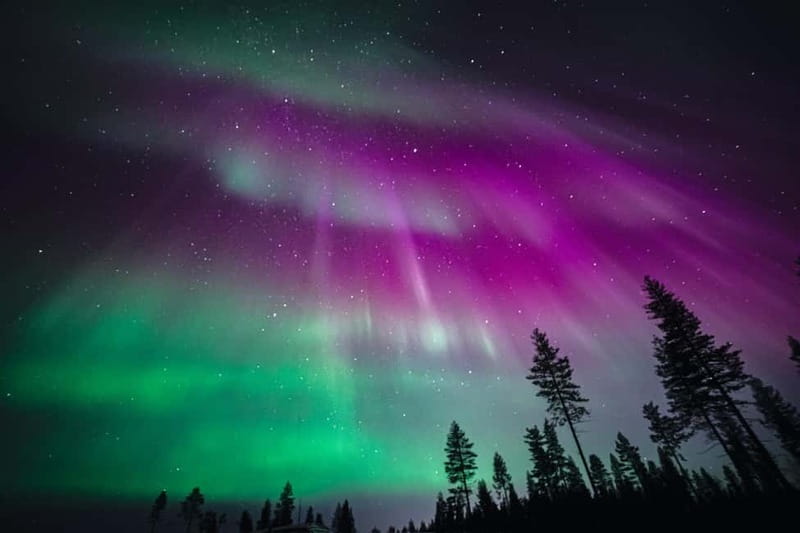 Rovaniemi: Northern Lights Group Tour with Guaranteed View - The drive into the Arctic night