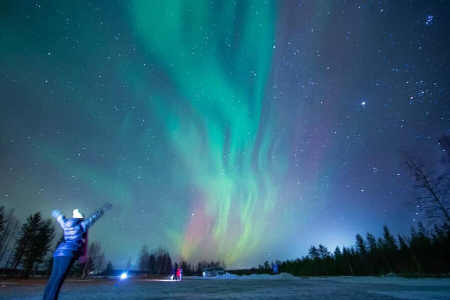 Rovaniemi: Northern Lights Guided Tour with Pro Camera - Why this four-hour Rovaniemi outing works