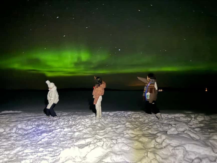 Rovaniemi:Northern Lights Hunt in Lapland Wilderness - Key points at a glance