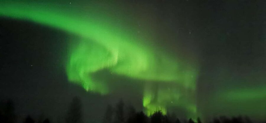 Rovaniemi:Northern Lights Hunt in Lapland Wilderness - Who will enjoy this four-hour hunt most