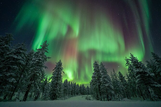 Rovaniemi Northern Lights Hunt With A Professional Photographer - Staying warm during a long night