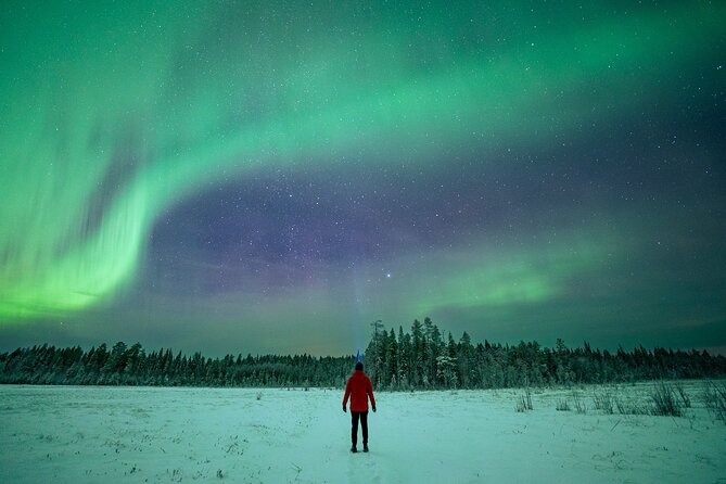 Rovaniemi Northern Lights Hunt With A Professional Photographer - How private is a group of eight?