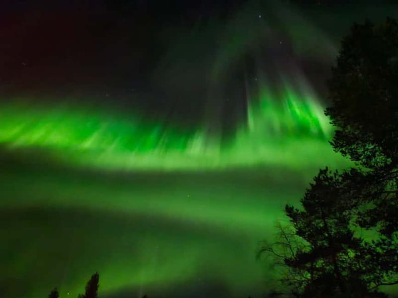 Rovaniemi: Northern Lights Hunters. Aurora + BBQ - The campfire is more than a backup plan