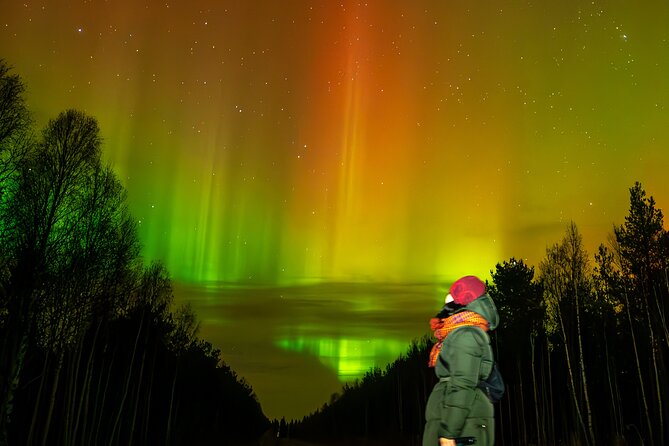 Rovaniemi: Northern Lights Hunting and Photography Tour - Key Points to Know Before Booking