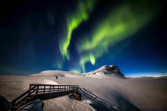 Rovaniemi Northern Lights Photography Small-Group Tour - Is $175.43 a fair price?