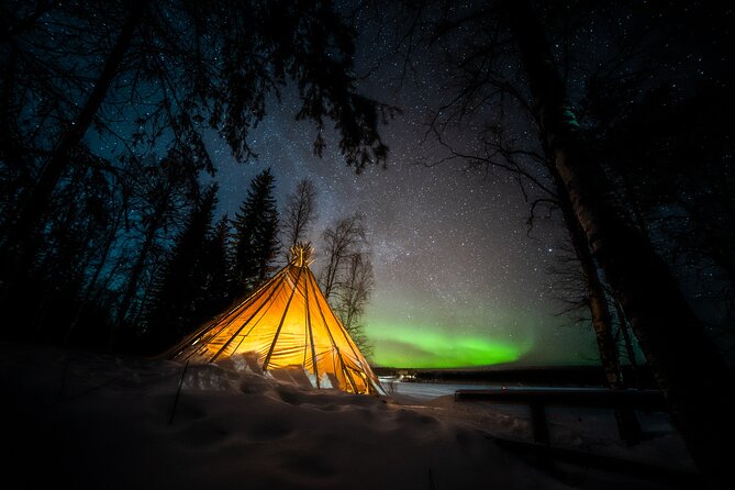 Rovaniemi Northern Lights Photography Small-Group Tour - When the aurora does not appear