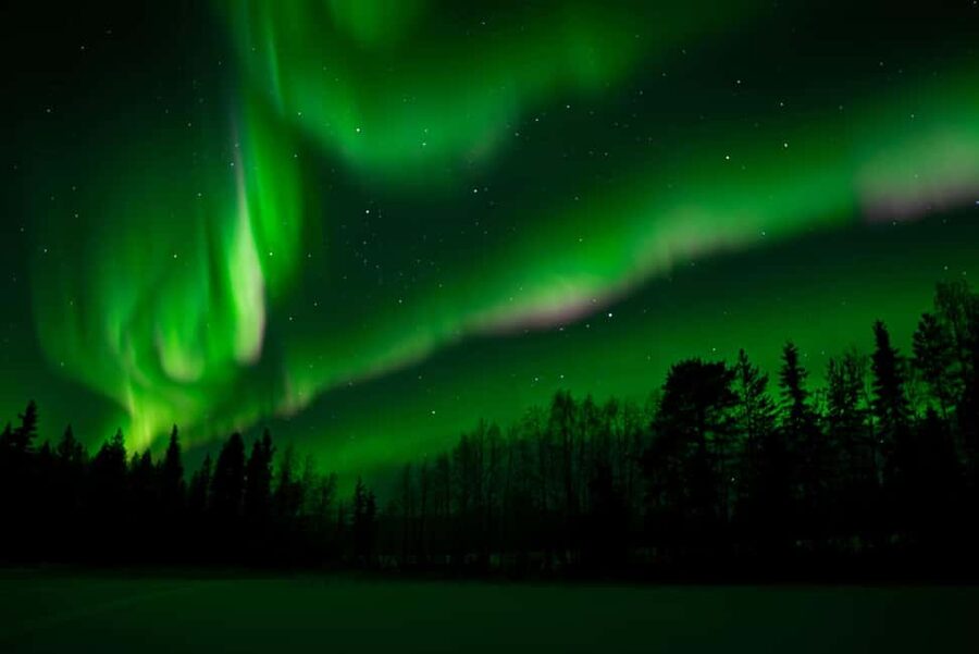 Rovaniemi: Northern Lights Photography Tour & BBQ - The real value of the $104 price