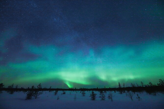 Rovaniemi: Northern Lights Pro Guaranteed - Unlimited Distance - The money-back guarantee and what it really changes