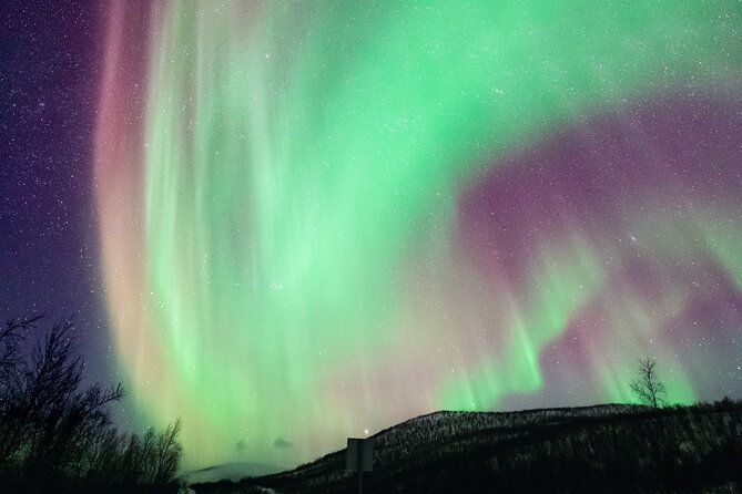 Rovaniemi: Northern Lights Pro Guaranteed - Unlimited (PRIVATE) - Starting in Rovaniemi at 7 p.m.