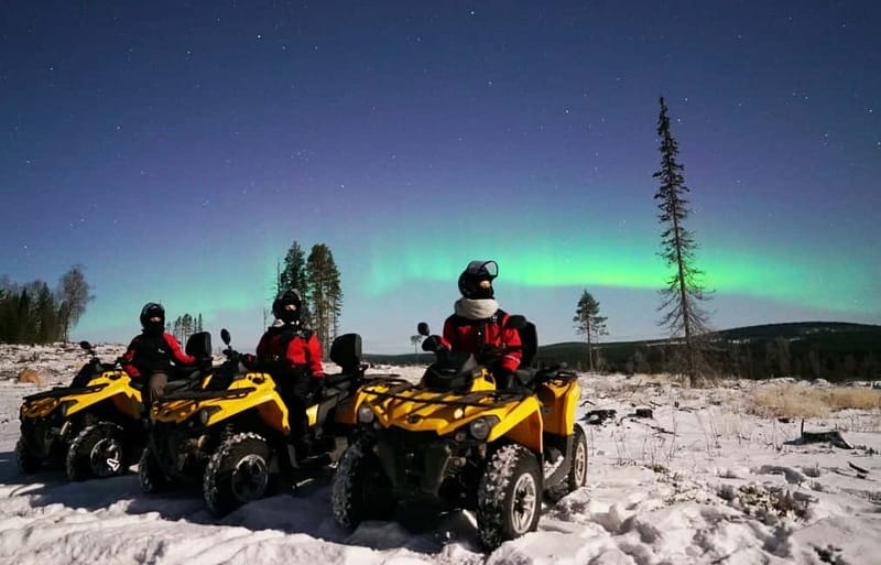 Rovaniemi: Northern Lights Quad Bike Tour - Hot blueberry juice, gingerbread, and the salmon question