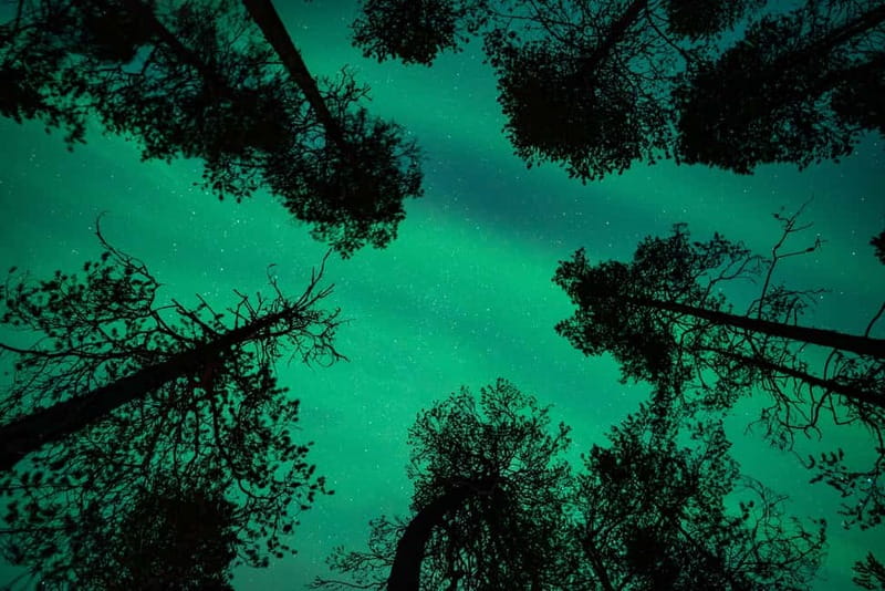 Rovaniemi: Northern Lights Quad Bike Tour - My verdict: book it for the quad bike ride first