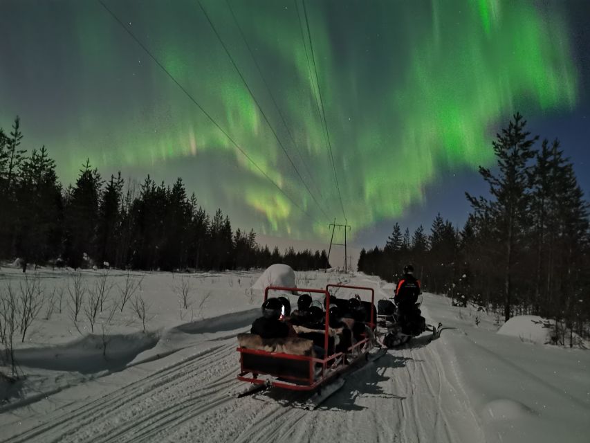Rovaniemi: Northern Lights Sledge Ride - Who will enjoy this most?