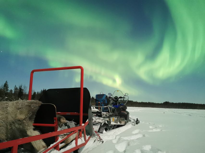 Rovaniemi: Northern Lights Sledge Ride - Should you book the Rovaniemi sledge ride?