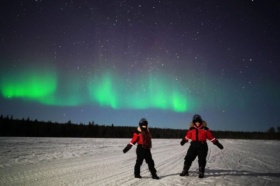 Rovaniemi: Northern Lights Sleigh Ride - Key details before you book