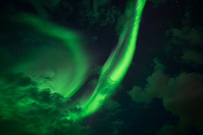Rovaniemi: Northern Lights Small Group Money-Back Guarantee - Sandwiches, berry tea, and winter comfort