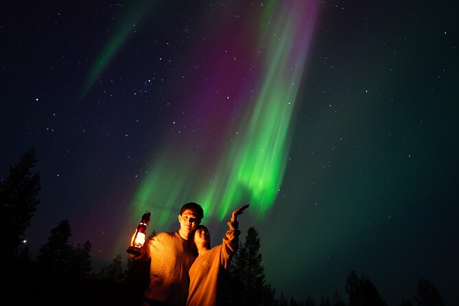 Rovaniemi: Northern Lights Small Group Money-Back Guarantee - Price, value, and the money-back question