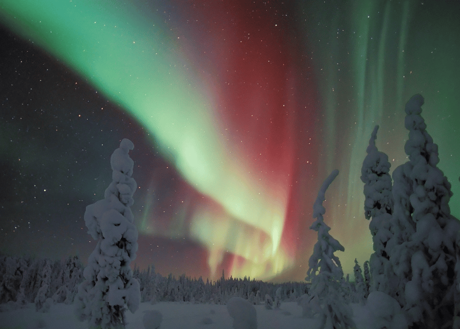 Rovaniemi: Northern Lights Snowmobile Safari with Campfire - What the four-hour outing is really about
