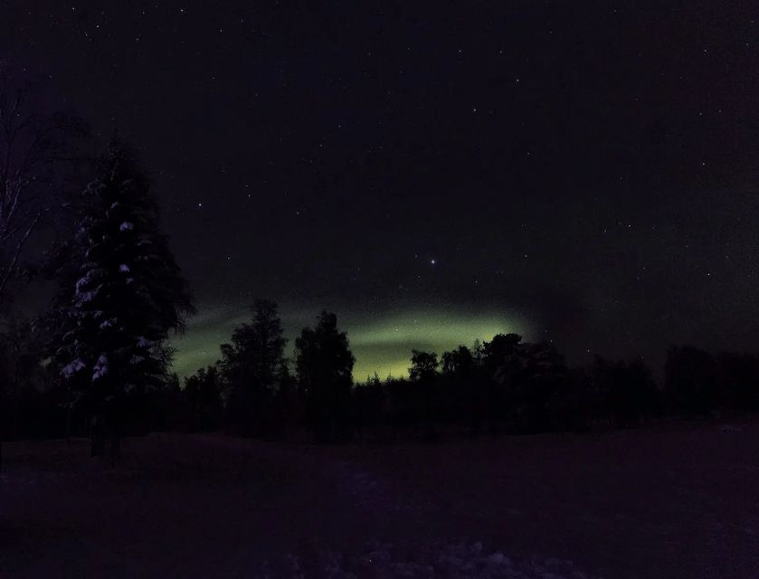 Rovaniemi: Northern Lights Snowmobile Safari with Campfire - Riding through forests and across river ice