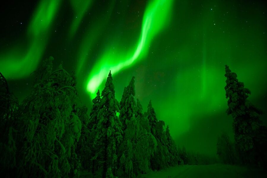 Rovaniemi: Northern Lights Snowmobile Tour - What the $218 price really covers