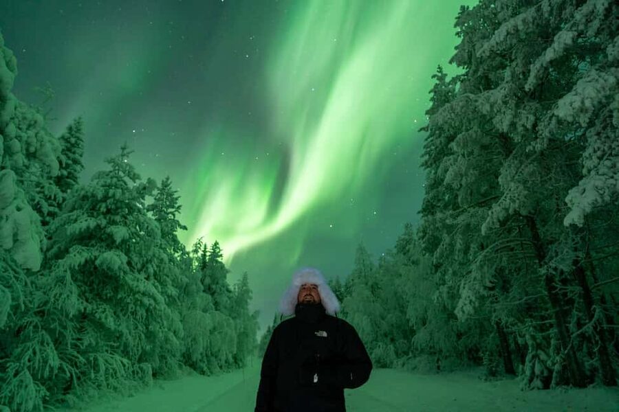 Rovaniemi: Northern Lights Tour - 100% Money Back Guarantee - Key details before you book