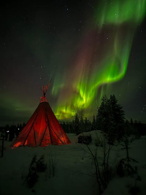 Rovaniemi: Northern Lights Tour at the Campfire - Should You Book This Rovaniemi Aurora Tour?