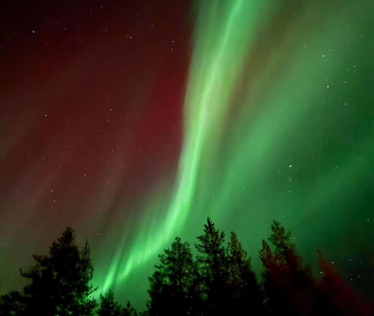 Rovaniemi: Northern Lights Tour - Aurora Viewing Guaranteed - The road through Finnish Lapland